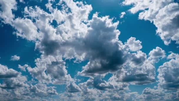 Timelapse Cumulus Clouds Moving Blue Sky Light Clouds Change Shape — Video Stock