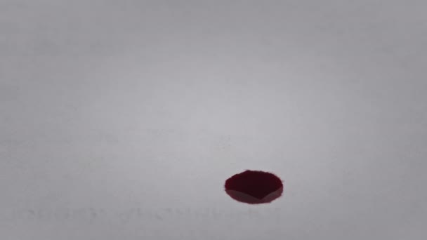 Red Blood Drips White Paper Macro Shot Inglês Baixa Sangue — Vídeo de Stock