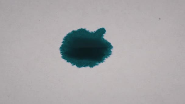 Drop Blue Ink Falls White Paper Macro Ink Absorbed White — Stock Video