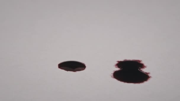 血滴落在大白纸上 红血被吸收到白皮书中 把红墨水滴在纸上 戈尔在白色的表面上飞溅 血迹显示在白色的背景上 — 图库视频影像