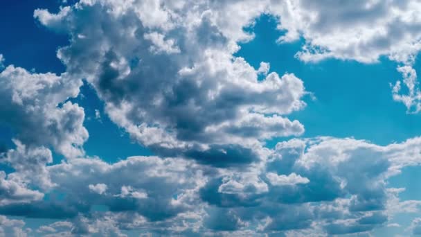 Clouds Moving Blue Sky Timelapse Puffy Fluffy White Clouds Time — Stock Video