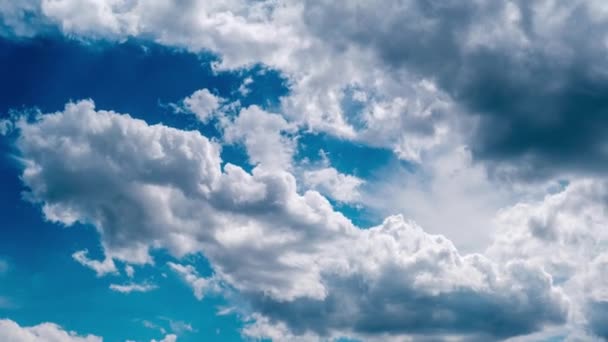 Timelapse Clouds Moving Blue Sky Puffy Fluffy White Clouds Time — Stockvideo