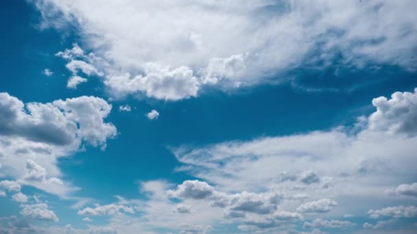 Timelapse Van Gelaagde Wolken Bewegen Blauwe Lucht Cumulus Lichte Wolken — Stockvideo