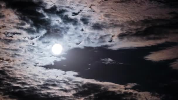 Повний Місяць Рухається Нічному Небі Через Темні Хмари Timelapse Тлі — стокове відео