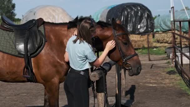 Młoda Kobieta Pieści Konia Farmie Naturze Ładna Dziewczyna Głaszcze Brązowego — Wideo stockowe