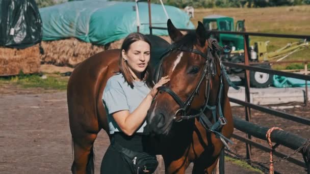 Happy Woman Stroking Horse Farm Nature Summer Day Slow Motion — Vídeos de Stock