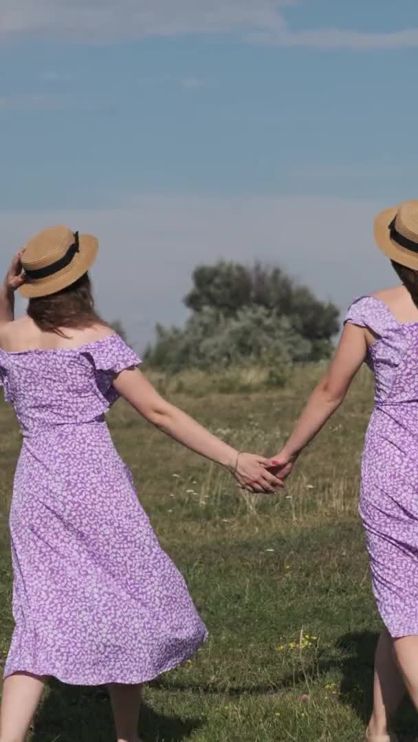 Κάθετη Πίσω Όψη Των Νέων Δίδυμες Αδελφές Καλοκαιρινά Φορέματα Και — Αρχείο Βίντεο