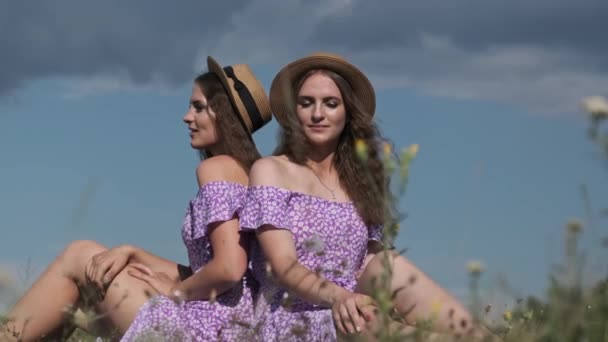 Two Twin Girls Sit Together Field Identical Dresses Straw Hats — Vídeo de stock