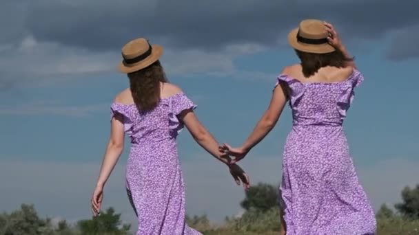 Back View Young Twins Sisters Summer Dresses Straw Hats Holding — 图库视频影像