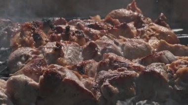 Grilling shashlik on barbecue grill outdoors. Process of cooking delicious shish kebab on a metal skewer in summer. Roast beef on BBQ. Marinated kebab grilled on charcoal. Weekend picnic. Street food