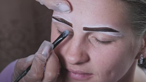 Eyebrow Tinting Procedure Henna Beauty Salon Master Brow Corrects Shape — Stok video