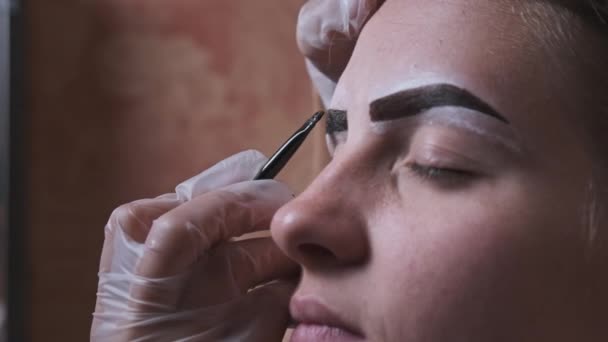 Building Shape Eyebrows Beauty Salon Eyebrow Master Dyes Them Young — Vídeo de Stock