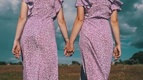 Back View Young Twins Sisters Summer Dresses Straw Hats Holding — Vídeos de Stock