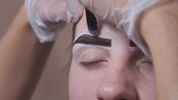 Building Shape Eyebrows Beauty Salon Eyebrow Master Dyes Them Young — Stockvideo