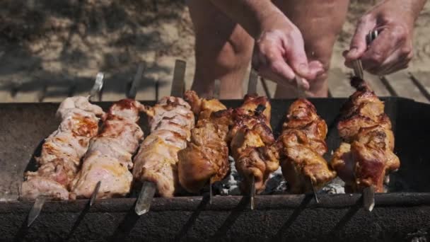 Cozinhar Churrasco Espetos Grelha Natureza Kebab Marinado Grelhado Carvão Vegetal — Vídeo de Stock