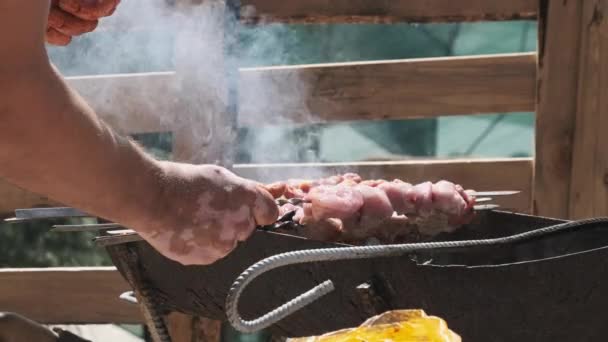 Process Cooking Delicious Shish Kebab Metal Skewer Summer Outdoors Grilling — Videoclip de stoc