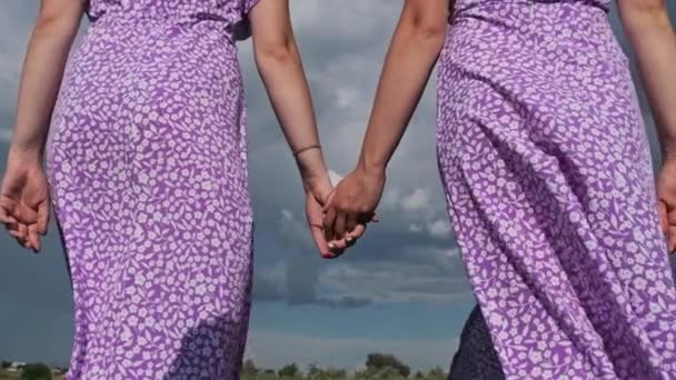 Rückenansicht Junger Zwillingsschwestern Sommerkleidern Und Strohhüten Die Händchenhaltend Einer Grünen — Stockvideo