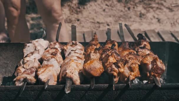 Vaření Grilu Špejli Grilu Přírodě Marinovaný Kebab Griluje Dřevěném Uhlí — Stock video