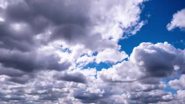 积雨云在蓝天中移动的时间 多彩多姿的云雾空间 黑云和浅云不断变化的形状 大气背景 时间流逝 天气的变化 大自然 天空的云 — 图库视频影像