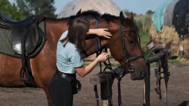 Young woman is petting a horse on a farm in nature. Pretty girl stroking a brown horse near the stable on a summer day. Friendship between human and animal. Mutual understanding, love for horses.