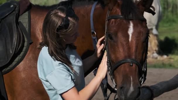 Beautiful Woman Pets Brown Horse Stable Summer Day Slow Motion — Video