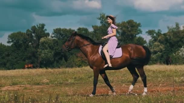 Młoda Kobieta Letniej Sukience Słomkowym Kapeluszu Ujeżdżająca Konia Wiejskim Polu — Wideo stockowe