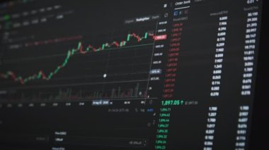 Bilgisayar ekranında şifreli döviz şeması var. Bitcoin para biriminin borsa çizelgesi. Borsadaki USD ve BTC 'den dijital alıntılar grafiği. Fiyat evrimi ile Bitcoin ticareti.