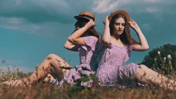 漂亮的孪生姐妹背靠背地坐在一起 穿着相同的衣服 戴着草帽 穿着化妆品的快乐双胞胎女性在夏天的田野里看着镜头的画像 慢动作生活方式 — 图库视频影像
