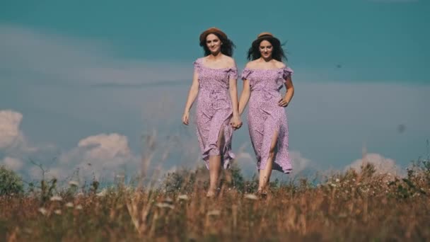穿着夏装 头戴草帽的年轻漂亮的孪生姐妹手牵手走过绿地 生活方式 两个穿着相同紫色衣服的女人在草地上慢吞吞地走着 这很吸引人 — 图库视频影像