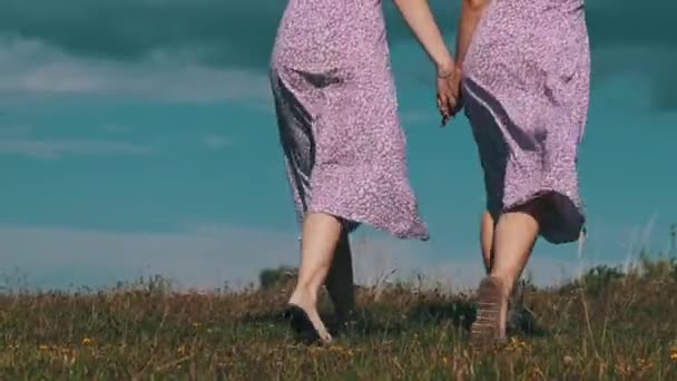 Visão Traseira Irmãs Gêmeas Jovens Vestidos Verão Chapéus Palha Mãos — Vídeo de Stock