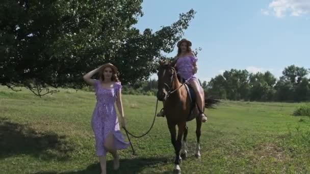 Νεαρές Δίδυμες Αδελφές Περπατούν Πάνω Άλογο Στο Πράσινο Πεδίο Στην — Αρχείο Βίντεο