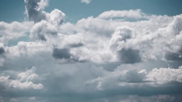 Timelapse Cumulus Moln Rör Sig Den Blå Himlen Fluffiga Moln — Stockvideo