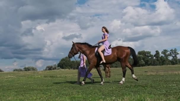 Hermanas Gemelas Jóvenes Caminando Caballo Por Campo Verde Campo Cámara — Vídeos de Stock