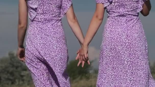 Back View Young Twins Sisters Summer Dresses Straw Hats Holding — Video Stock