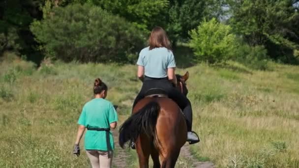 Widok Tyłu Młodej Kobiety Jeżdżącej Koniu Ścieżką Bliską Zielonej Naturze — Wideo stockowe
