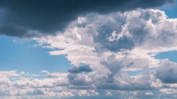 Cumulus Felhők Időapálya Kék Égen Bolyhos Felhők Megváltoztatják Alakjukat Felhőtérben — Stock videók