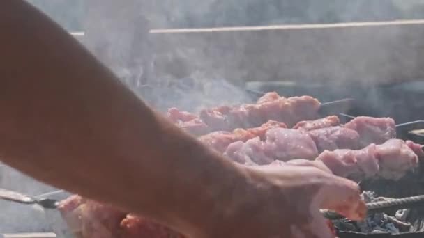 Process Cooking Delicious Shish Kebab Metal Skewer Summer Outdoors Grilling — Vídeo de Stock
