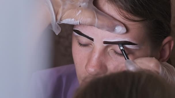 Building Shape Eyebrows Beauty Salon Eyebrow Master Dyes Them Young — Vídeo de Stock
