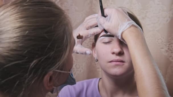 Building Shape Eyebrows Beauty Salon Eyebrow Master Dyes Them Young — Stockvideo