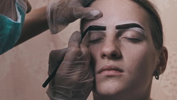 Building Shape Eyebrows Beauty Salon Eyebrow Master Dyes Them Young — Vídeo de Stock