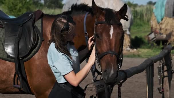 Young Woman Petting Horse Farm Nature Pretty Girl Stroking Brown — Vídeo de stock