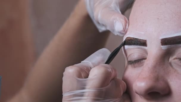 Building Shape Eyebrows Beauty Salon Eyebrow Master Dyes Them Young — Vídeo de Stock