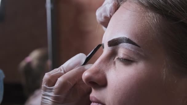 Building Shape Eyebrows Beauty Salon Eyebrow Master Dyes Them Young — Vídeo de Stock