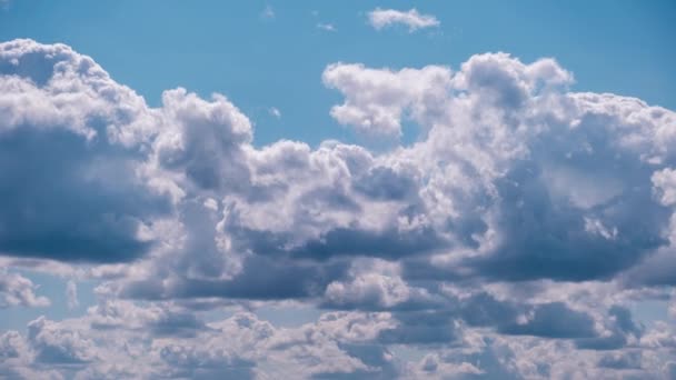 Wolken Bewegen Zich Blauwe Lucht Timelapse Opgezwollen Pluizige Witte Wolken — Stockvideo