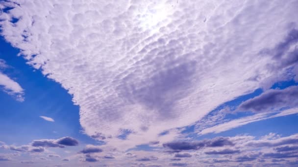 Zeitraffer Von Kumuluswolken Die Sich Unter Der Sonne Blauen Himmel — Stockvideo