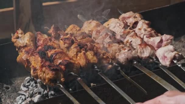 Grilling Shashlik Barbecue Grill Outdoors Process Cooking Delicious Shish Kebab — Stock video