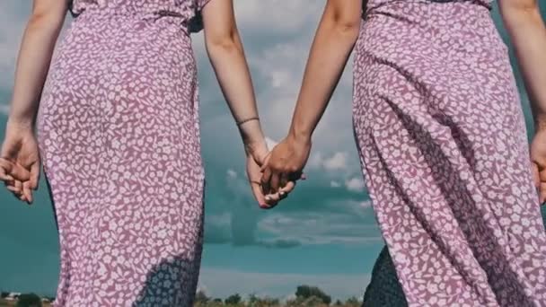 Visão Traseira Irmãs Gêmeas Jovens Vestidos Verão Chapéus Palha Mãos — Vídeo de Stock