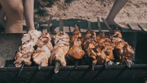 Grilling Shashlik Barbecue Grill Outdoors Process Cooking Delicious Shish Kebab — Vídeo de Stock
