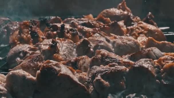 Vaření Grilu Špejli Grilu Přírodě Marinovaný Kebab Griluje Dřevěném Uhlí — Stock video