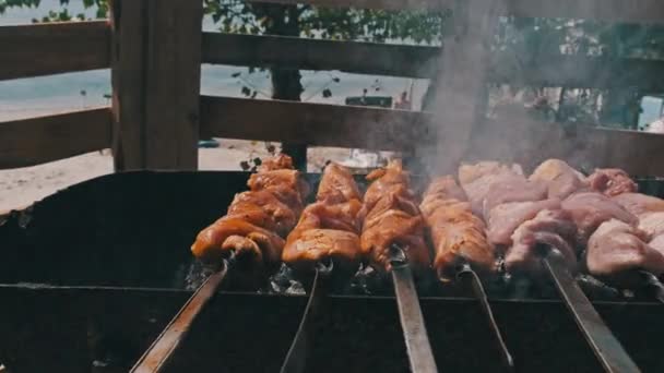 Grilling Shashlik Barbecue Grill Outdoors Process Cooking Delicious Shish Kebab — Videoclip de stoc